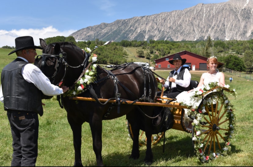 Bride and groom with horse-drawn carriage in the golden meadow with Ragged Mountain backdrop
