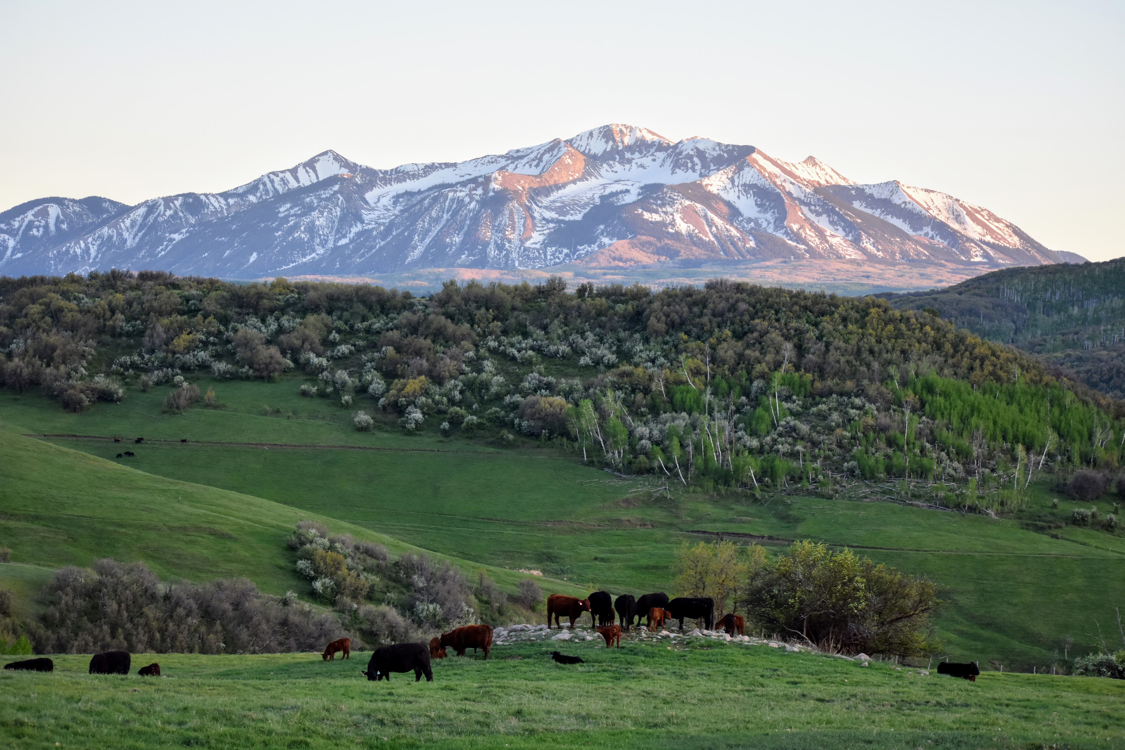 Working cattle ranch at the base of Ragged Mountain, Colorado
